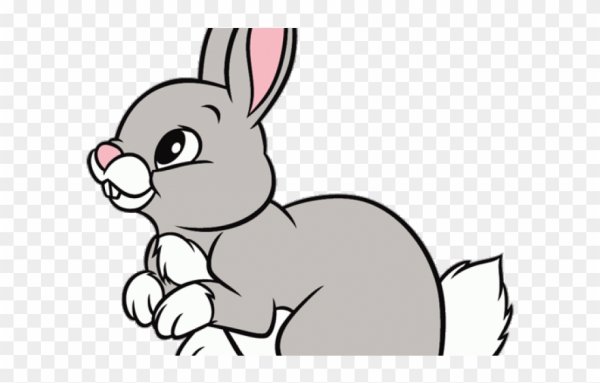 Кролик Flashcard