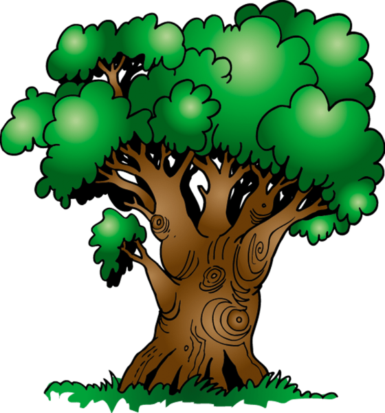 Дерево из сказки