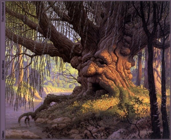 Старый вяз Властелин колец