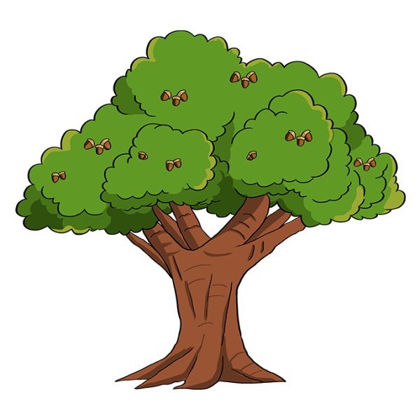 Дуб для детей