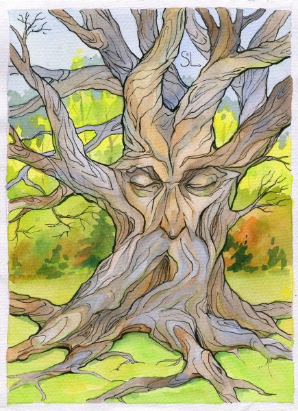 Дерево цветными карандашами