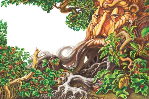 Дуб и орешник толстой