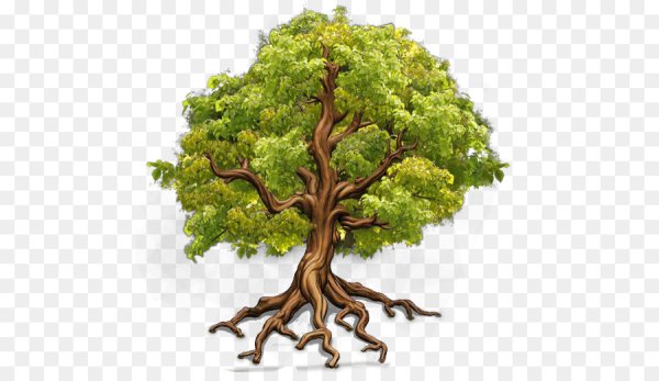 Дерево с корнями и кроной