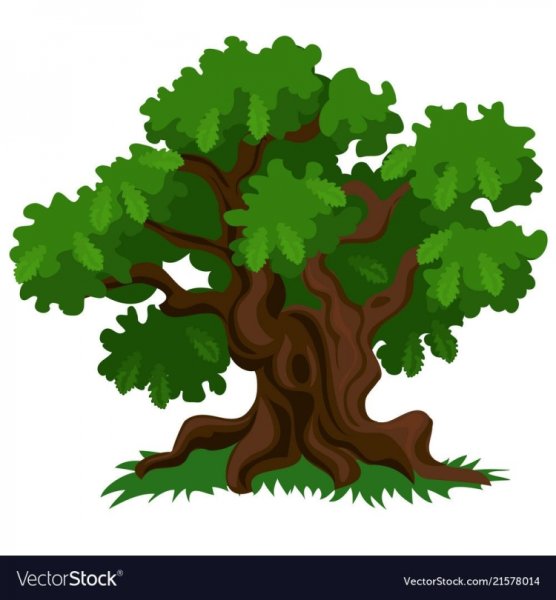 Сказочный дуб с дуплом