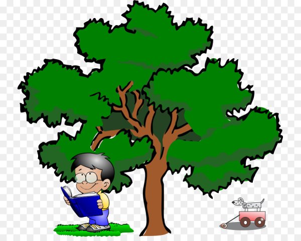 Дуб Анимашка для детей