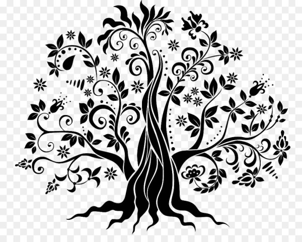 Схема Древо Ренато Паролин