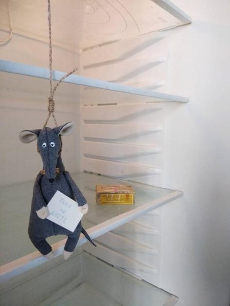 Мышь повесилась в холодильнике