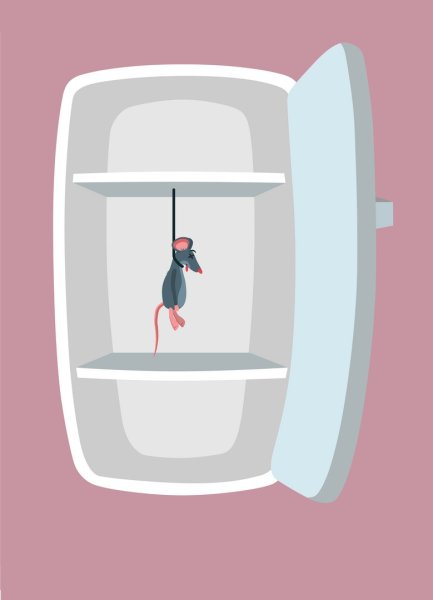 Мышь повесилась в холодильнике