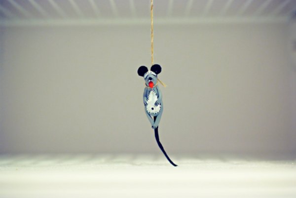 Магнитик на холодильник мышь повесилась