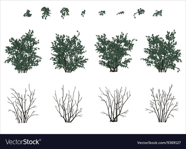 Антураж куст сбоку