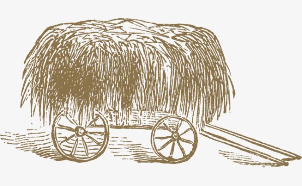 Сено карандашом