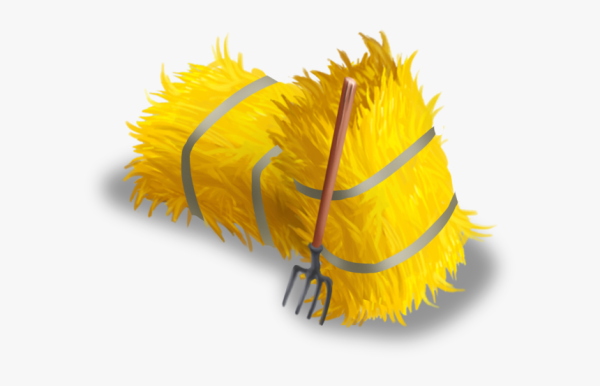 Сено вектор