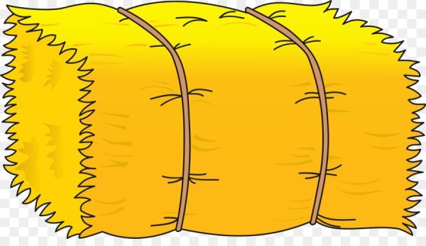 Сено для детей