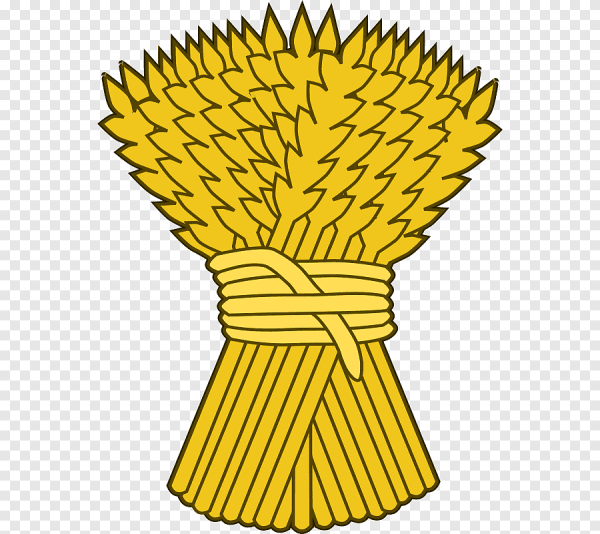 Сноп колосьев пшеницы