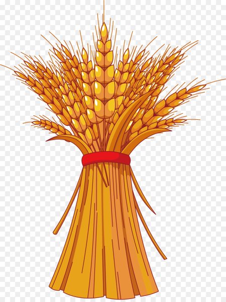 Сноп пшеницы