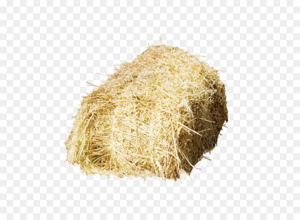 Солома для детей