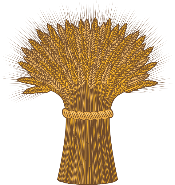 Сноп колосьев