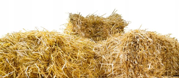 Сено для детей