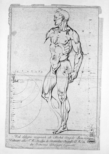 Микеланджело пропорции