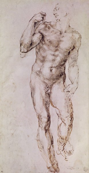 Микеланджело Буонарроти рисунки анатомические