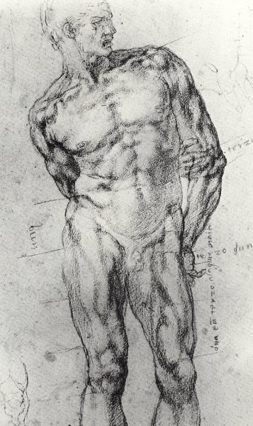 Микеланджело картины человека анатомия