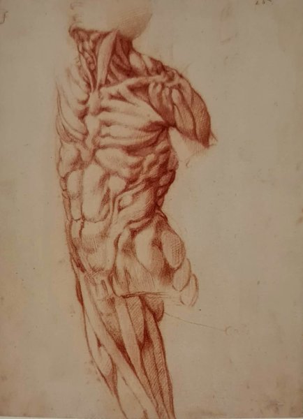 Микеланджело Атлет