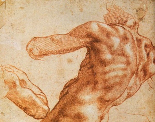 Пластическая анатомия Рафаэль Санти