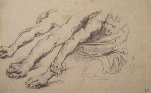 Экорше Рубенс