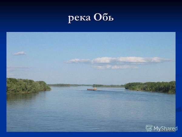 Течение реки Обь Новосибирск