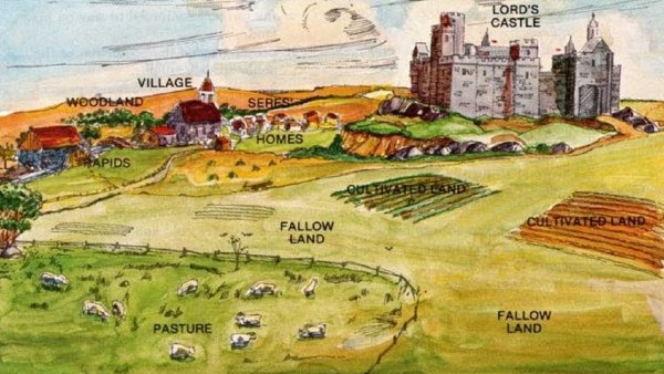 Начертите план феодального поместья