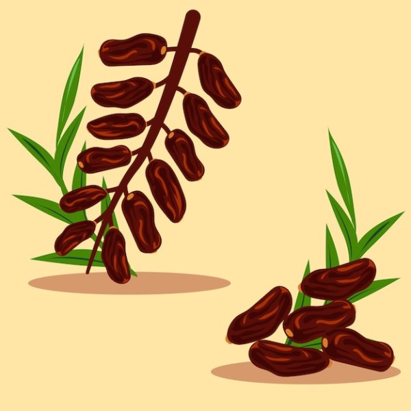 Финик иконка