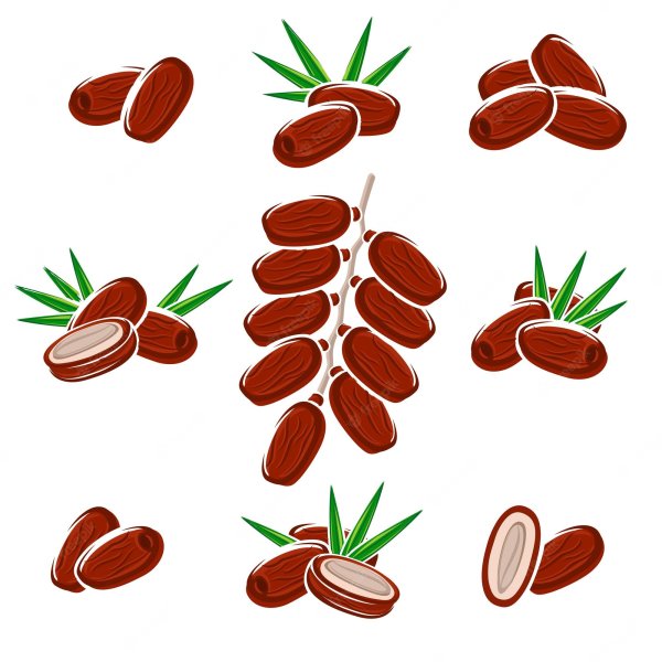 Финик иконка