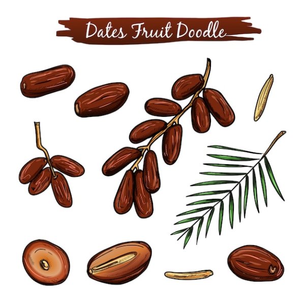 Рисунок фиников