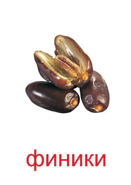 Финики на белом фоне