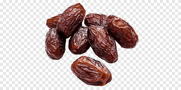 Финиковая Пальма векторна