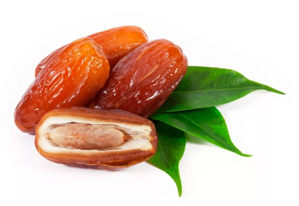 Финики вектор