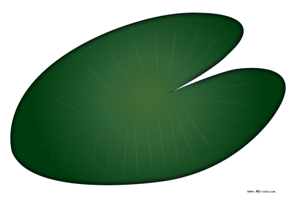 Кувшинка для детей