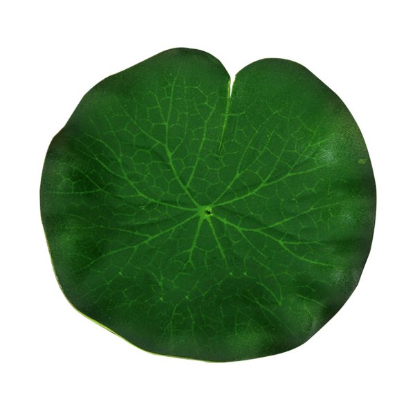 Кувшинка для детей