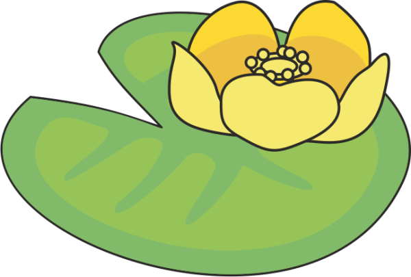 Кувшинка для детей