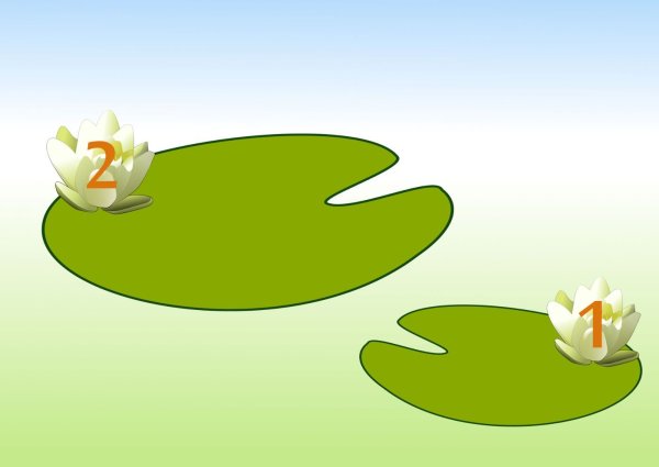 Листья лотоса