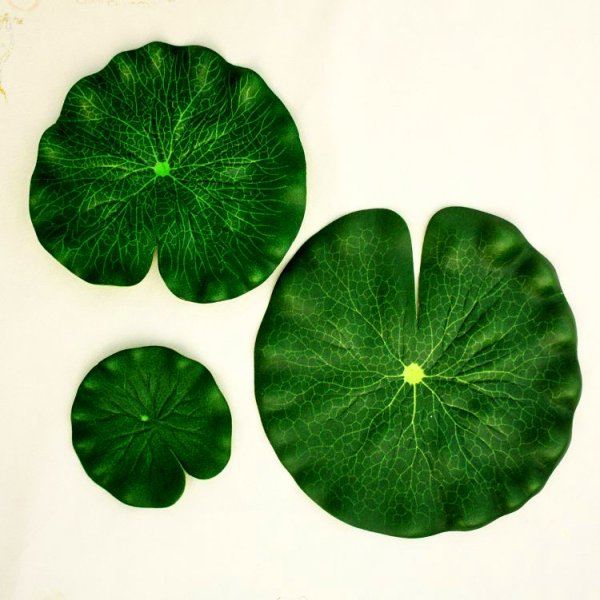 Листок кувшинки