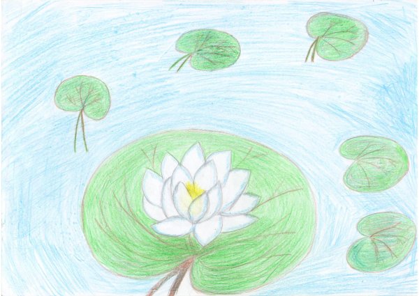 Лист кувшинки раскраска
