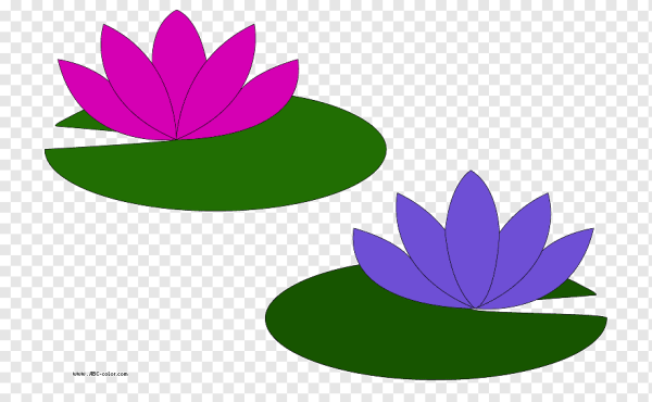 Лист лотоса 75h