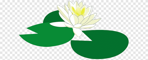 Кувшинка трафарет