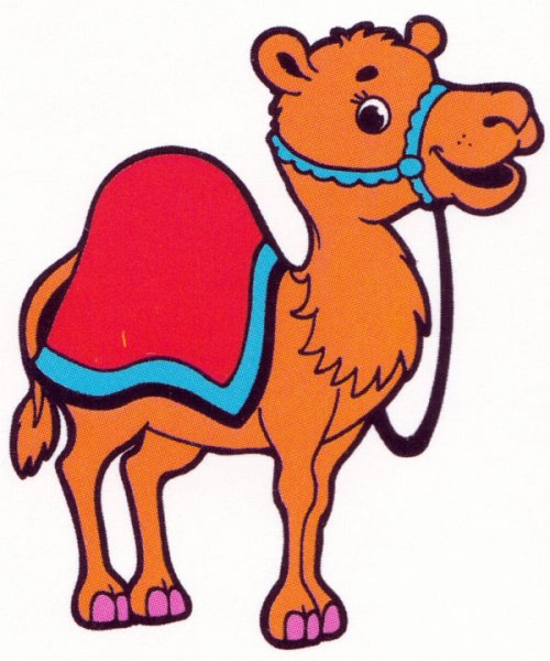 Изображение верблюда для детей