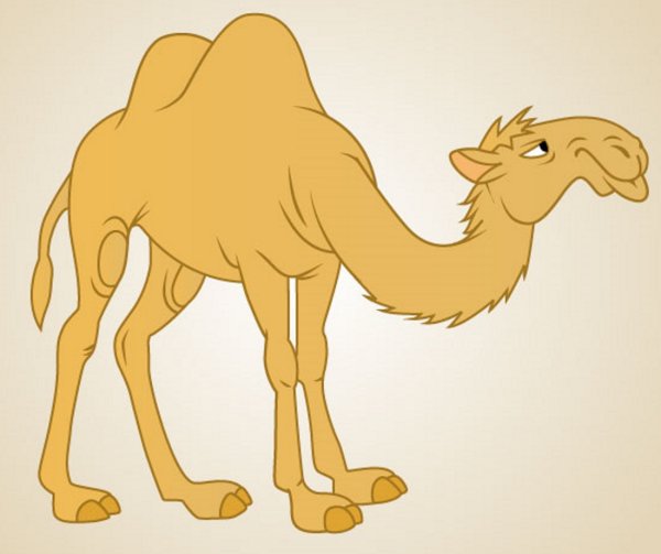Верблюд мультяшный