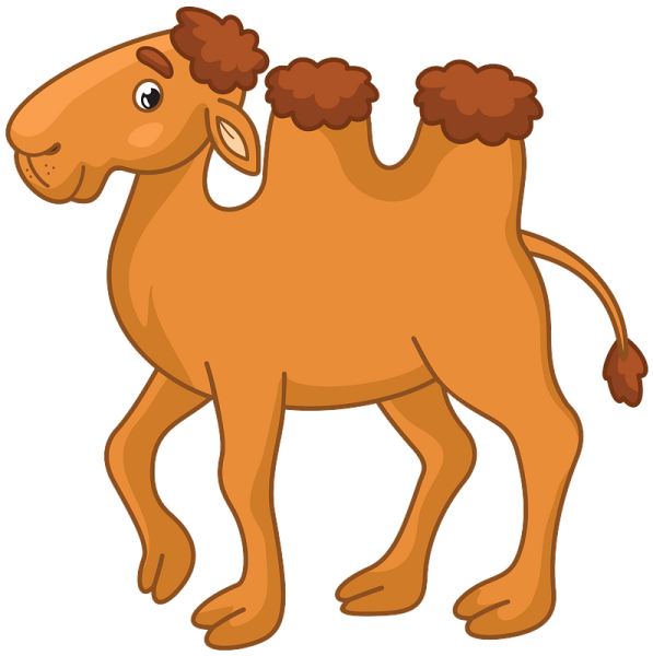 Верблюд для детей