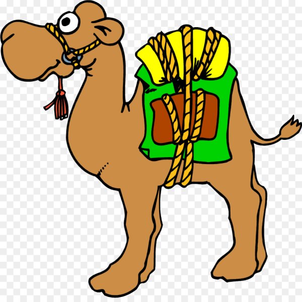 Верблюд мульт