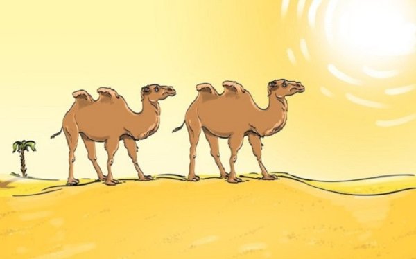 Пустыня Верблюды иллюстрация