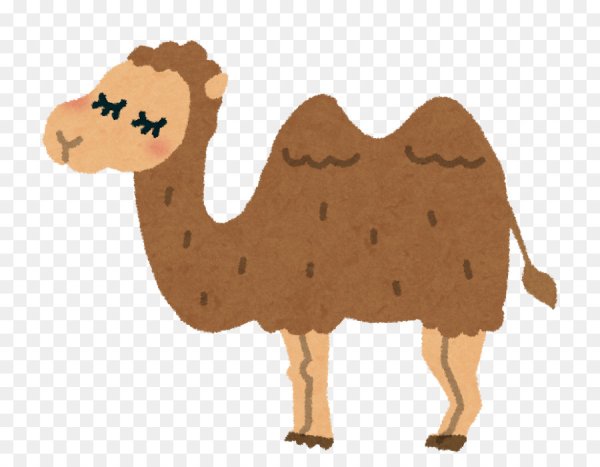 Верблюд кавайный